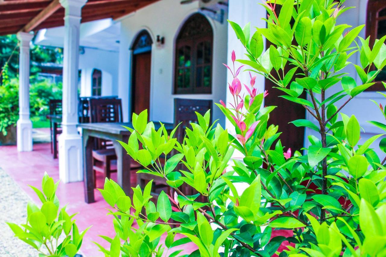 Lotus Villa Mirissa Kültér fotó